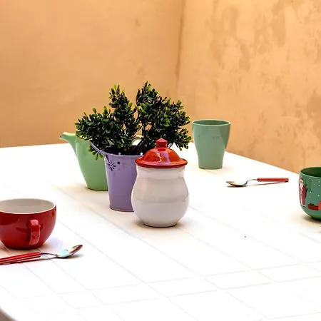 Casine By Mamo Daire *